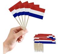 Small Netherlands Toothpick Flags Little Cake Toppers for Cakes Decorations,100pcs Nederlanden Flag Mini Netherlands Flags On Cocktail Sticks for Sandwich Food Cupcake Topper World Cup Pub Royal Event