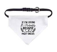 Small 'Newborn Baby Toddler Funny Quotes ' Dog/Cat/Pet Bandana (PD00061051)