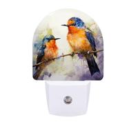 Small Nightlight Oil Painting Bird Night Light Plug in Wall with Dusk to Dawn Photocell Sensor Warm White Night Light for Bedroom Living Room Hallway Stairs Portable Lamp