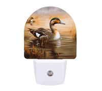 Small Nightlight Oil Painting Duck Night Light Plug in Wall with Dusk to Dawn Photocell Sensor Portable Lamp Warm Night Light for Bedroom Living Room Hallway Stairs