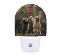 Small Nightlight The Cat is Reaching Out Night Light Plug in Wall with Dusk to Dawn Photocell Sensor Portable Lamp Warm Night Light for Bedroom Living Room Hallway Stairs