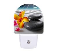 Small Nightlight Tropical Flower and Zen Stone Night Light Plug in Wall with Dusk to Dawn Photocell Sensor Portable Lamp Warm Night Light for Bedroom Living Room Hallway Stairs