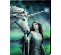 Small North Star Canvas Picture by Anne Stokes