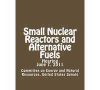 Small Nuclear Reactors and Alternative Fuels