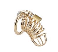 Small Penis Lock Male Stainless Steel Cock Cage Chastity Device Penis Lock Erotic Bondage Husband Loyalty Big Metal Cock Cage Gold 40-45-50Mm