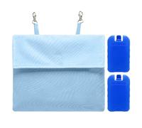 Small Pet Cooling Ice Pack For Guinea Pig Cage | 25x22cm Fabric PP | Reusable Summer Cool Mat For Crate To Beat Heat Decrease Temperature