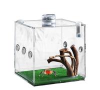 Small Pet Enclosure - Acrylic Jumping Spider Growth Terrarium: 360 Degree Clear Small Animal Time Carrier for Lizards, Beetles, Turtles, Snails