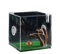 Small Pet Enclosure, Reptile Growth Terrarium, Jump Spider Growth Shelf, Weak Box for Small Animals with Breathing Hole for Turtles, Snails, Lizards and Beetles