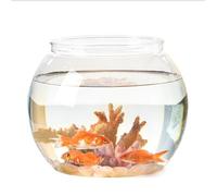 Small Pet Fish Tanks, Desktop Ornamental Fish Tank for Guppies, Modern Spherical Design, Miniature Cold Water Aquarium for Home or Office Use