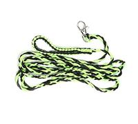 Small Pet Hamster Guinea Outdoor Leash Walking Training Harness in and Rose Red (Black Green)