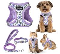 Small Pet Harness Collar and Leash Set, Step in No Chock No Pull Soft Mesh Adjustable Dog Vest Harnesses Plaid Reflective for Dogs Puppy and Cats Outdoor Training (Purple Flower, XXS)