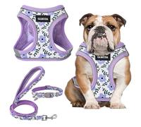 Small Pet Harness Collar and Leash Set, Step in No Chock No Pull Soft Mesh Adjustable Dog Vest Harnesses Plaid Reflective for Dogs Puppy and Cats Outdoor Training (Purple Flower, L)