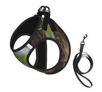 Small Pet Leash Vest Dog Harness - Small Sized Birds Nest Print Leash Set with Buckle, Canine Companion Outdoor Travel Gear