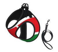Small Pet Leash Vest Dog Harness - Small Sized, Flag of South Sudan Print Adjustable for Cats and Dogs, Perfect for Outdoor Walking