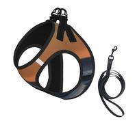 Small Pet Leash Vest Dog Harness - Small Sized Last Sun Rays of Over The Sea Waves Print Leash Set with Buckle, Canine Companion Outdoor Travel Gear