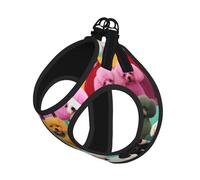 Small Pet Leash Vest Dog Harness - Small Sized Poodles Dogs Print Leash Set with Buckle, Canine Companion Outdoor Travel Gear