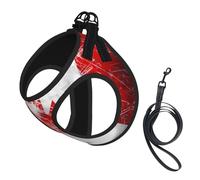 Small Pet Leash Vest Dog Harness - Small Sized, Retro Canada Flag Print Adjustable for Cats and Dogs, Perfect for Outdoor Walking