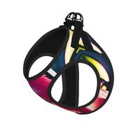 Small Pet Leash Vest Dog Harness - Small Sized Tropical Flamingos and Pineapples Print Leash Set with Buckle, Canine Companion Outdoor Travel Gear