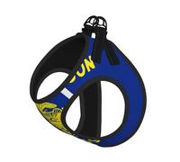 Small Pet Leash Vest & Dog Oregon State Flag Print Harness Set â€“ Soft, Light, Breathable Mesh for Small Dogs & Cats