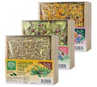 Small Pet Select Forage Tray Bundle, 3 Pack of Foraging Trays for Rabbit, Guinea Pig, Hamster or Bunny - Natural Treats, Dandelion, Flower, Herb Mix 2.5oz Each