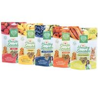 Small Pet Select - Healthy Snacker Treat Bundle (5-Pack) | All-Natural Oven-Baked Treats for Rabbits, Guinea Pigs & Small Animals | Real Fruits, Veggies & Herbs | Variety Pack