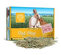 Small Pet Select Oat Hay Pet Food for Rabbits, Guinea Pigs and Other Small Animals. Premium Natural Hay Grown in The US. Easy to Store Box, 10lb (4.54kg)