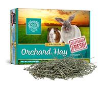 Small Pet Select Orchard Grass Hay Pet Food for Rabbits, Guinea Pigs, Chinchillas and Other Small Animals, Premium Natural Hay Grown in The US, 10lb (4.54kg)