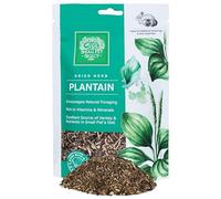 Small Pet Select Plantain for Rabbits, Guinea Pigs & Small Animals - Natural Forage Treat - Healthy Snacking & Digestion (56g, Plantain)
