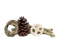 Small Pet Select Rabbit 4 Toy Sampler - Natural Chew Toys Including Pine Cone, Oat Sticks, Honeysuckle Vine & Loofah Biscuit - Foraging Enrichment & Dental Health