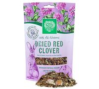 Small Pet Select Red Clover for Rabbits, Guinea Pigs & Small Animals - Natural Forage Treat - High-Fiber Snacking - Supports Digestion - All Natural, No Additives - 56g