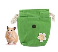 Small Pets Portable Flannel Outgoing Carrier Bag, Green, Lightweight and Foldable - Soft Non - Material, Easy to Clean, Ideal for Hamster Sugar Glider Squirrel