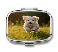 Small Pill Box 2 Compartment Medicine Pill Case Portable Puppy Crossing The Grass Printed Pill Container for Pocket Or Purse Pill Box Metal Medicine Vitamin Organizer