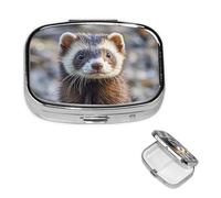 Small Pill Box Pocket Pill Case and Purse Portable Pill Organizer Cute Medicine Organizer Furry Ferret and Travel Pill Box for Vitamin Supplements
