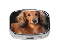 Small Pill Box Portable Pill Case 2 Compartment Metal Pill Vitamins Holder Organizer Cute Long Haired Dachshund Travel Pillbox for Purse Pocket