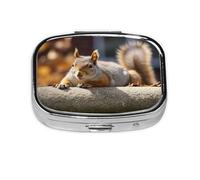 Small Pill Box Portable Pill Case 2 Compartment Metal Pill Vitamins Holder Organizer Cute Squirrel Just Laying Travel Pillbox for Purse Pocket