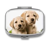 Small Pill Box Travel Pill Case with 2 Compartments Portable Pills Container Funny Labrador Puppy Dog Pills Organizer Vitamin Organizer Fish Oil Box Pocket Medicine Organizers