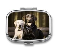 Small Pill Box Travel Pill Case with 2 Compartments Portable Pills Container Labrador Pills Organizer Vitamin Organizer Fish Oil Box Pocket Medicine Organizers