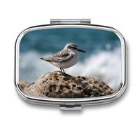 Small Pill Case with 2 Compartment Bird Perching on The Rock Medicine Pill Case Personalized Travel Pill Box for Purse Travel Pill Organizer Portable Daily Pill Box for Vitamins Supplements Medication