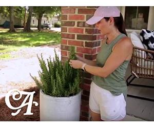 Small Porch Where did you get that?