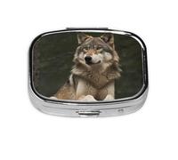 Small Portable Pill Box with 2 Compartments Metal Pill and Vitamins Organizer Cute Wolf Gray Purse Pocket