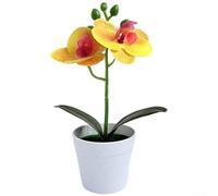 Small Potted Fake Butterfly Orchid Flowers 19cm Height Lifelike Plastic Foliage for Tabletop Display Wedding Party Festival Decor(Yellow)
