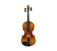 Small professional violin