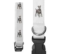 Small 'Proud Schnauzer' Dog Collar (PR00055353)