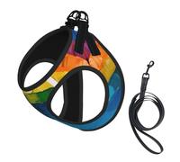 Small rainbow print Dog Harness and Leash Set, Reflective Adjustable Puppy Vest for Small Medium Large Dogs, Cats