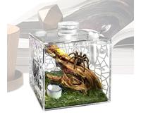 Small Reptile Enclosure,Acrylic Clear Pet Breeding Box | Snail Terrarium | for Indoor Living Room Snail Mantis Praying Mantis Small Animal