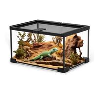 Small Reptile Glass Terrarium Tank: 2.5 Gallon Enclosure Cage with Lockable Top Opening Aquarium Habitat for Crested Gecko, Lizard, Snake, Chameleons, Turtle, Tarantula, Tree Frog (12"x8"x6")