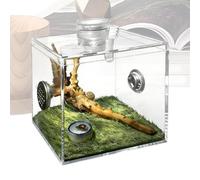 Small Reptile Terrarium, Acrylic Glass Rearing Terrarium, Praying Mantis for Snails, Catchers, Lizards, Small Animals, Praying Mantis as well as for Indoor Use at Home