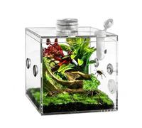 Small Reptile Terrarium, Clear Acrylic Breeding Box, Habitat for Jumping Spiders, for Snails, Catchers, Lizards, Small Animals, Praying Mantis as well as for Indoor Use at Home