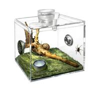 Small Reptile Terrarium, Clear Acrylic Breeding Box, Praying Mantis Terrarium, for Snails, Catchers, Lizards, Small Animals, Praying Mantis as well as for Indoor Use at Home