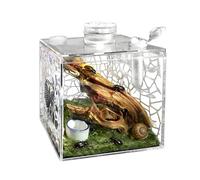 Small Reptile Terrarium, Transparent Terrarium, Praying Mantis - For Use at Home, Indoors and also in the Living Room: Snails, Lizards, Praying Mantis